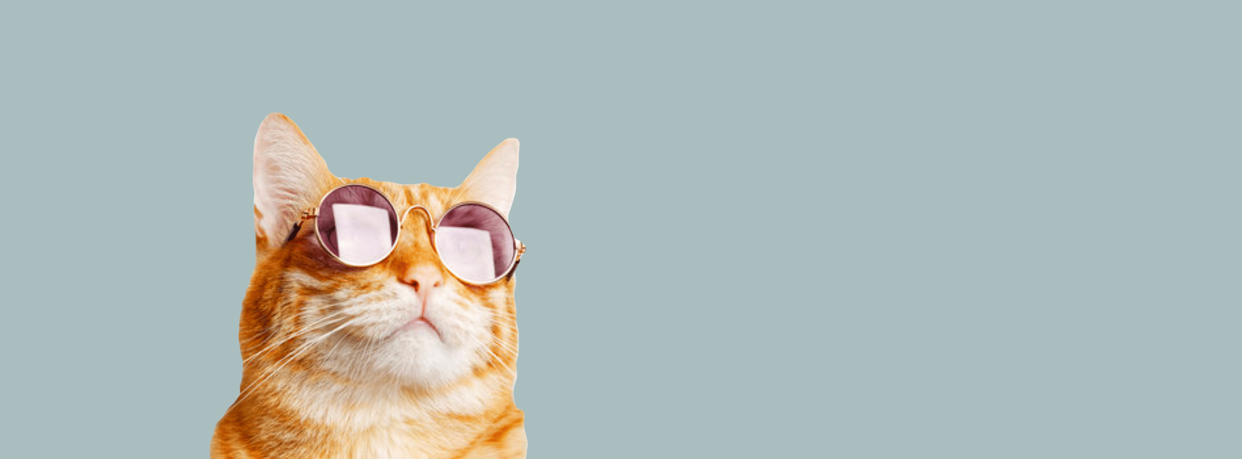 vetAppBanner
