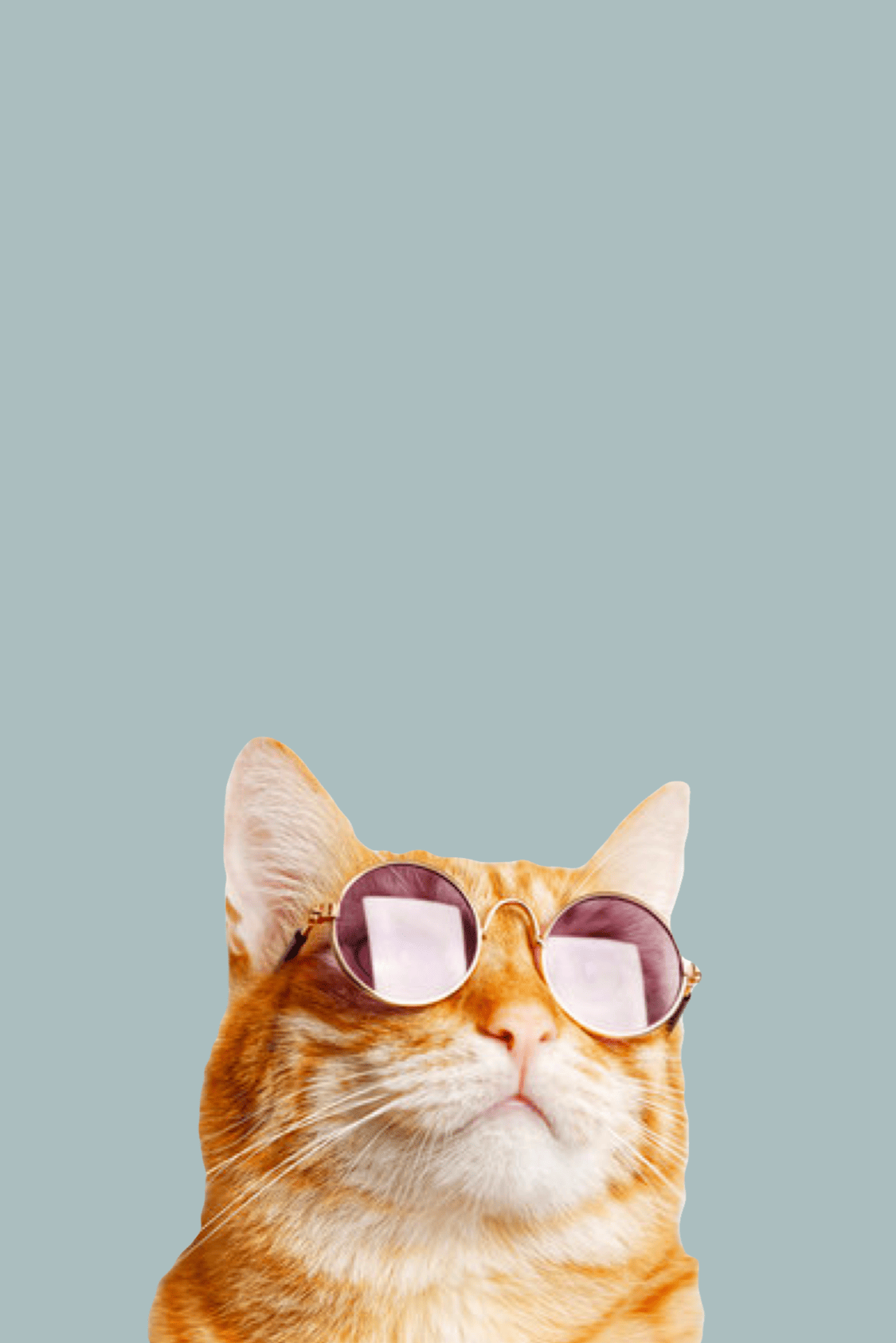 vetAppBanner