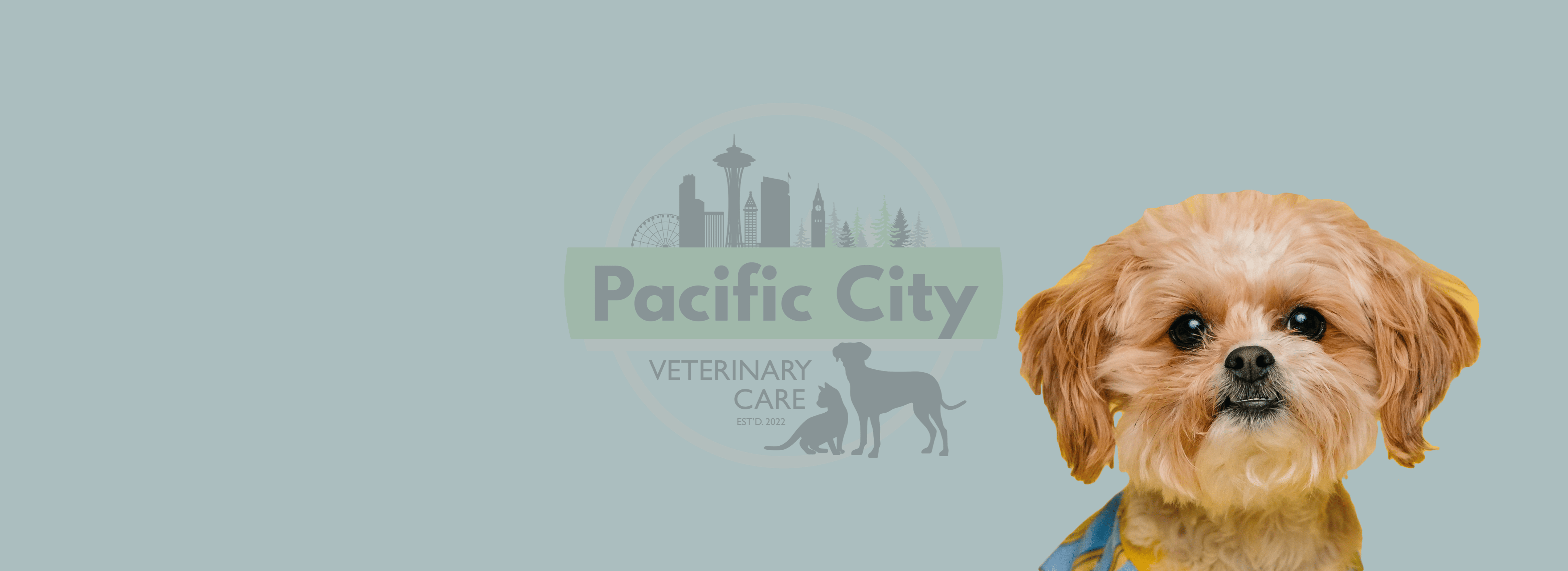 vetAppBanner